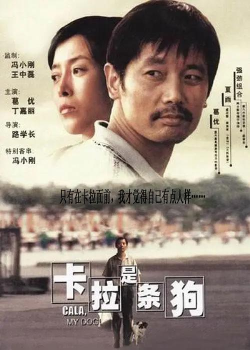 猫咪最新地域网名3336